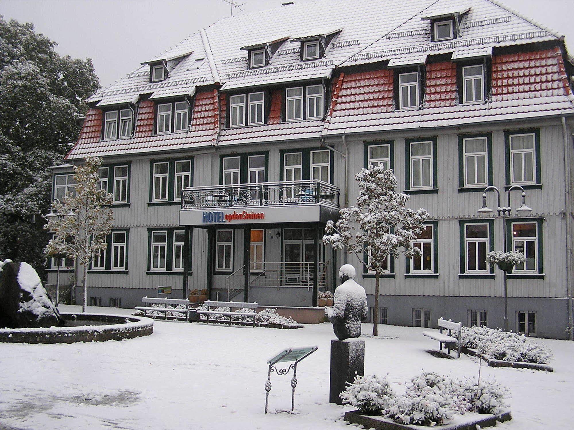Hotel Villa Opdensteinen Goslar Buitenkant foto